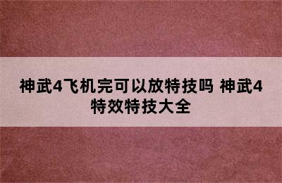 神武4飞机完可以放特技吗 神武4特效特技大全